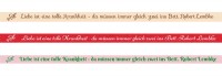Spruchband - Robert Lembke Liebe ist eine tolle Krankheit - da müssen immer gleich zwei ins Bett.
